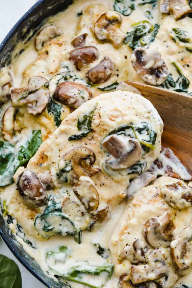 creamy parmesan chicken